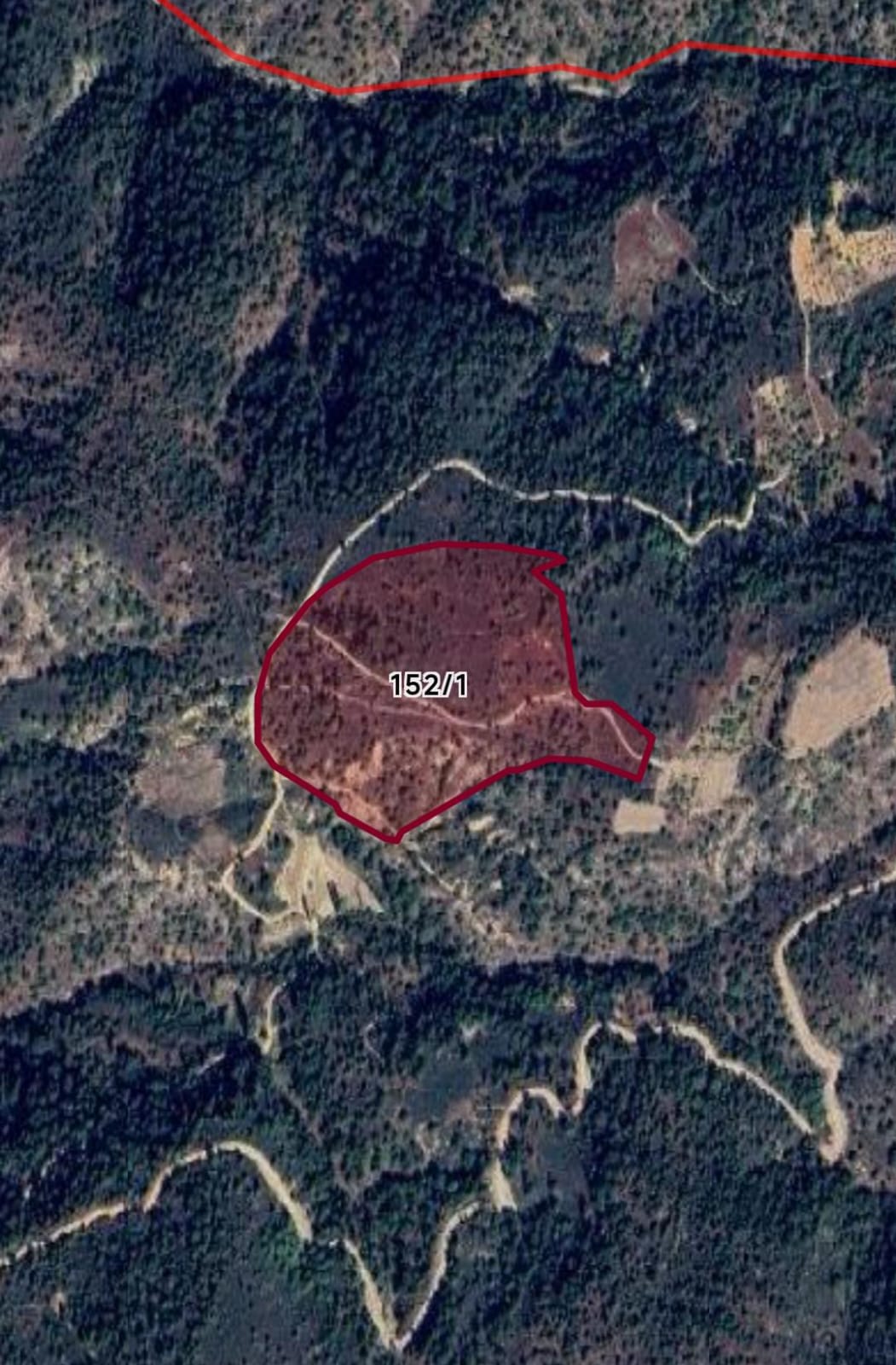 Fotoğraf